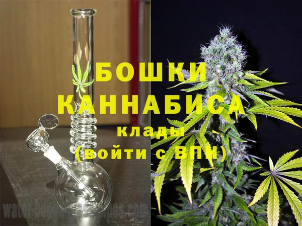 гидропоника Алзамай