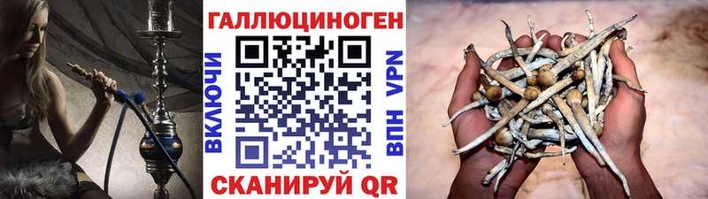 Псилоцибиновые грибы GOLDEN TEACHER Ардон